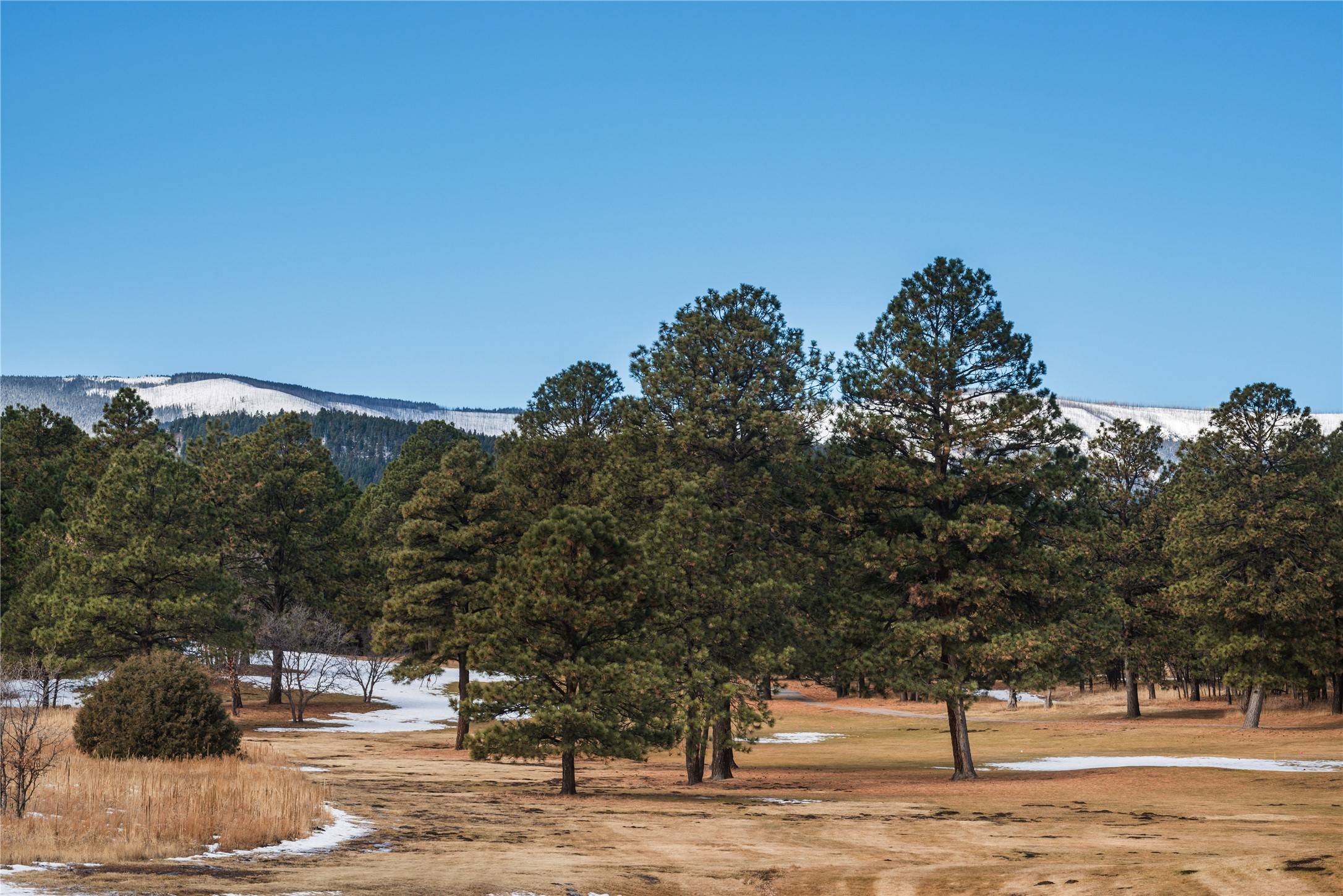Rociada, NM 87742,Lot 53 Cielo
