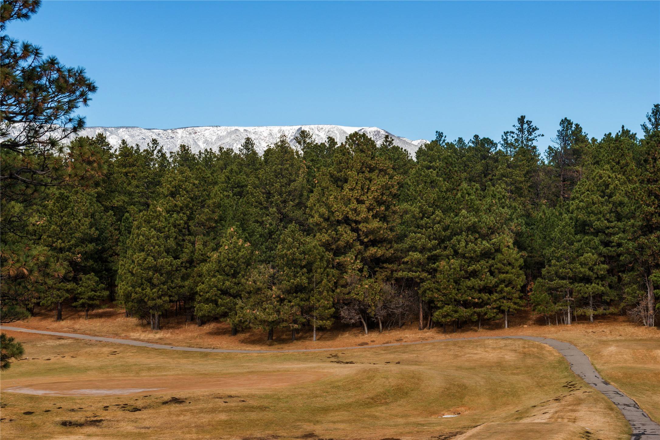 Rociada, NM 87742,Lot 46 Camino Facil