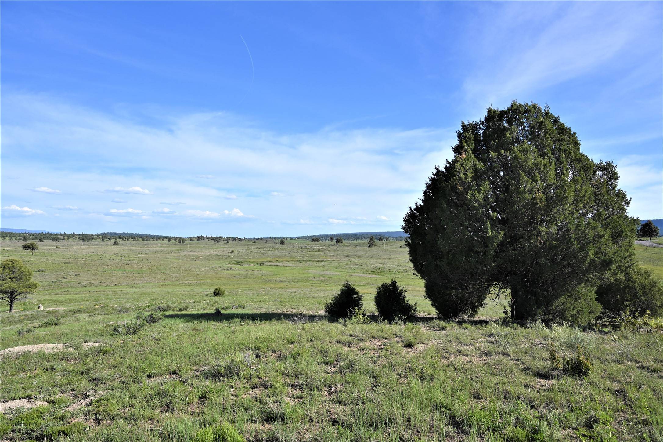Chama, NM 87520,00 Chama West S/D