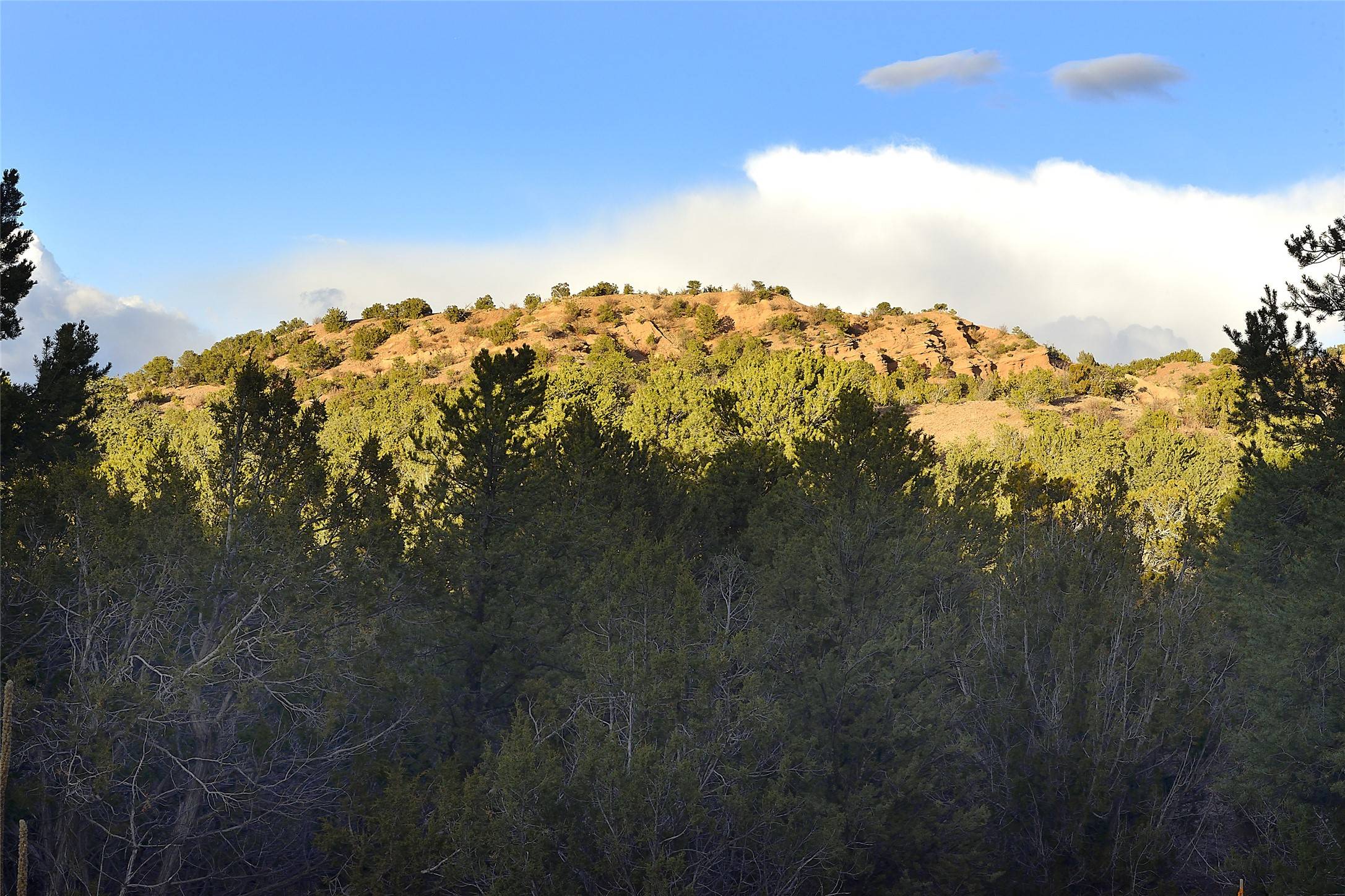 Santa Fe, NM 87506,1479 Bishops Lodge RD #B