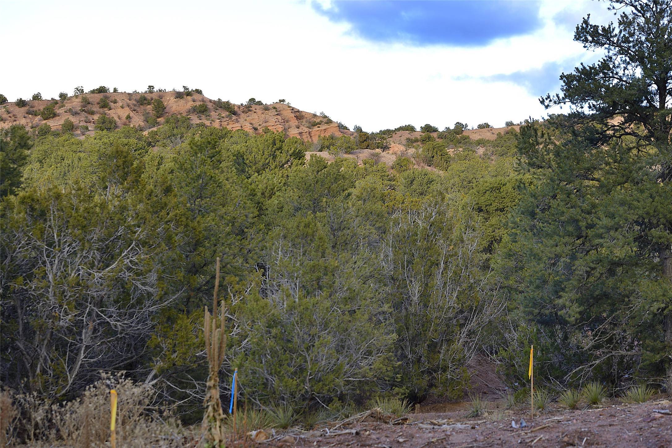 Santa Fe, NM 87506,1479 Bishops Lodge RD #B