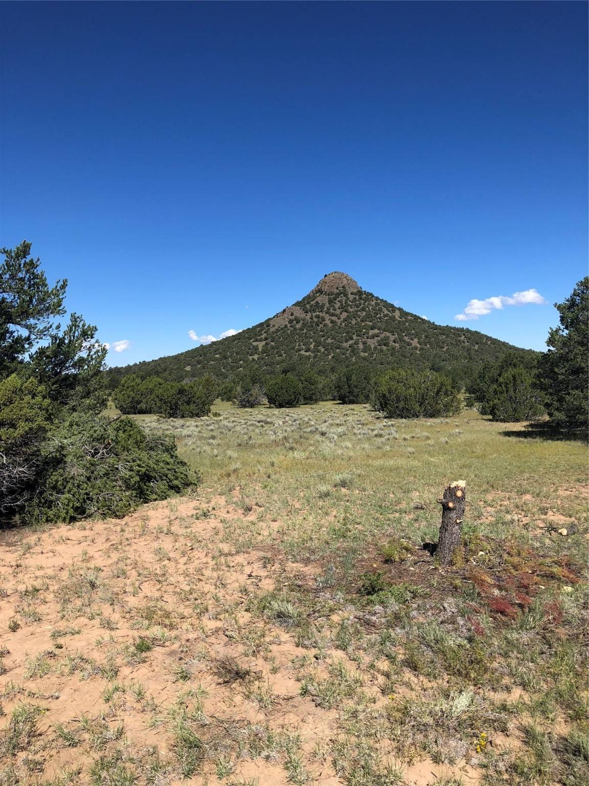Quemado, NM 87315,Lots 56 & 57 Mujeres CIR