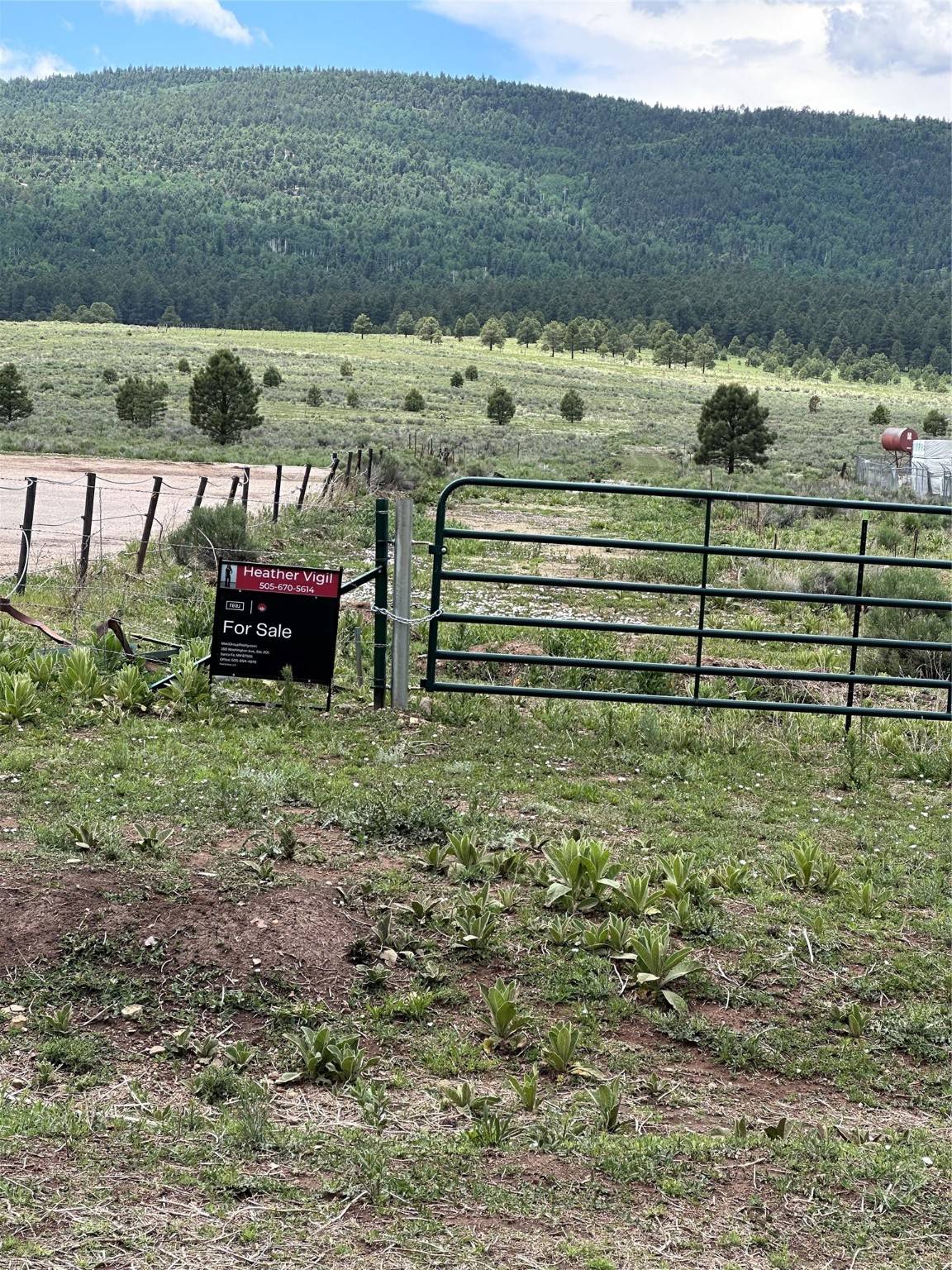 Colfax, NM 87740,35 Moreno Valley