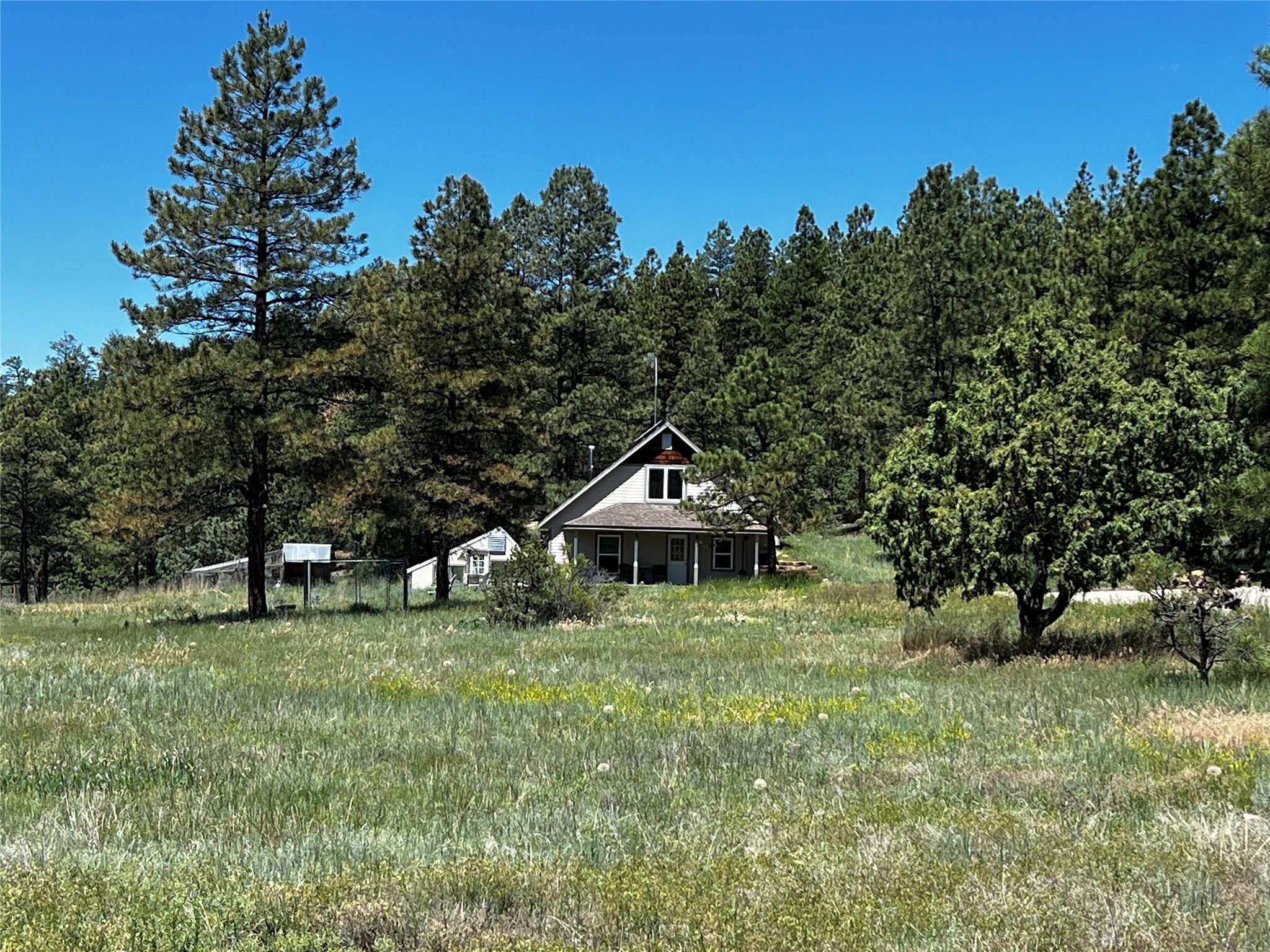 Cebolla, NM 87518,150 Forest Service Road 124