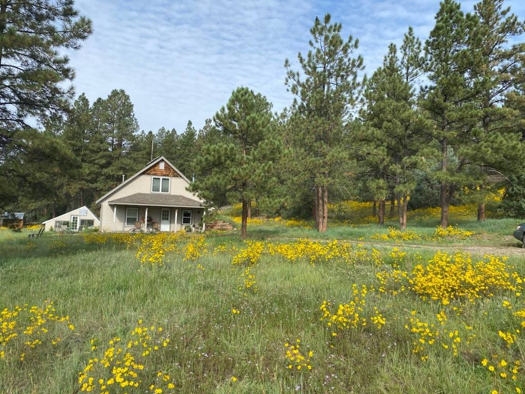 Cebolla, NM 87518,150 Forest Service Road 124