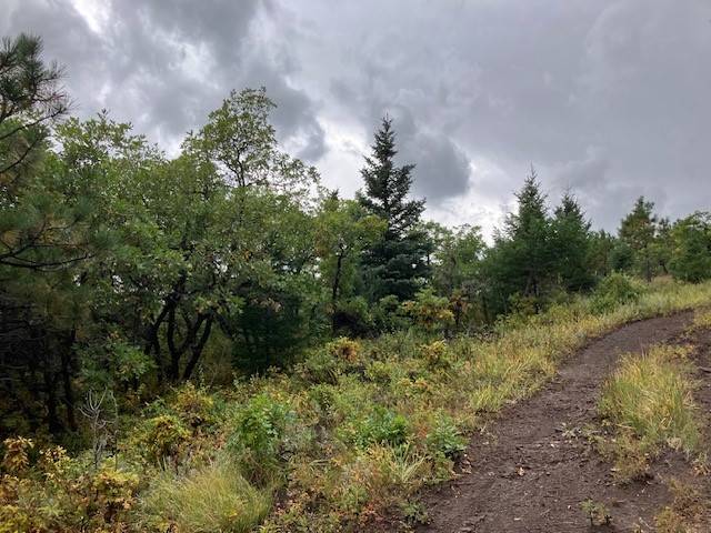 Holman, NM 87723,Tract 1 La Sierra RD