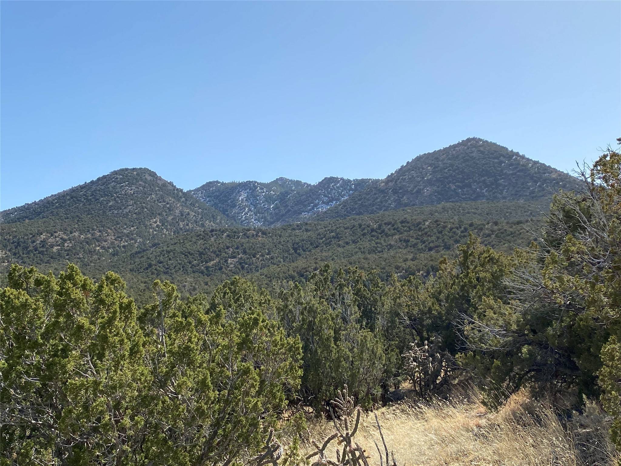 Cerrillos, NM 87010,155 Cedar Mountain