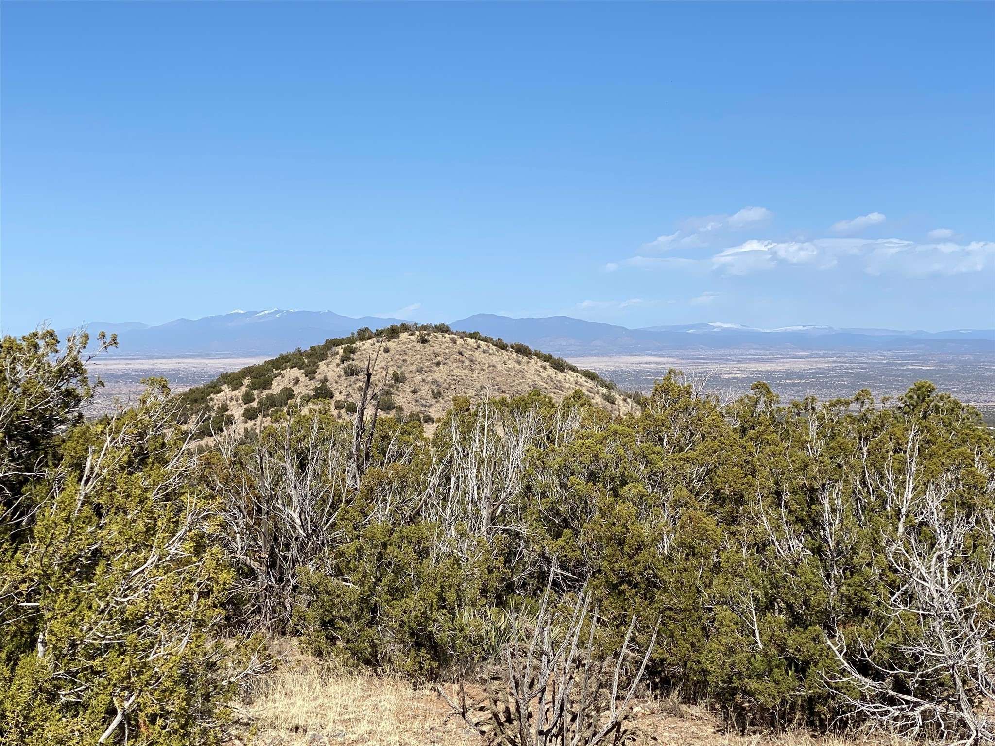 Cerrillos, NM 87010,155 Cedar Mountain