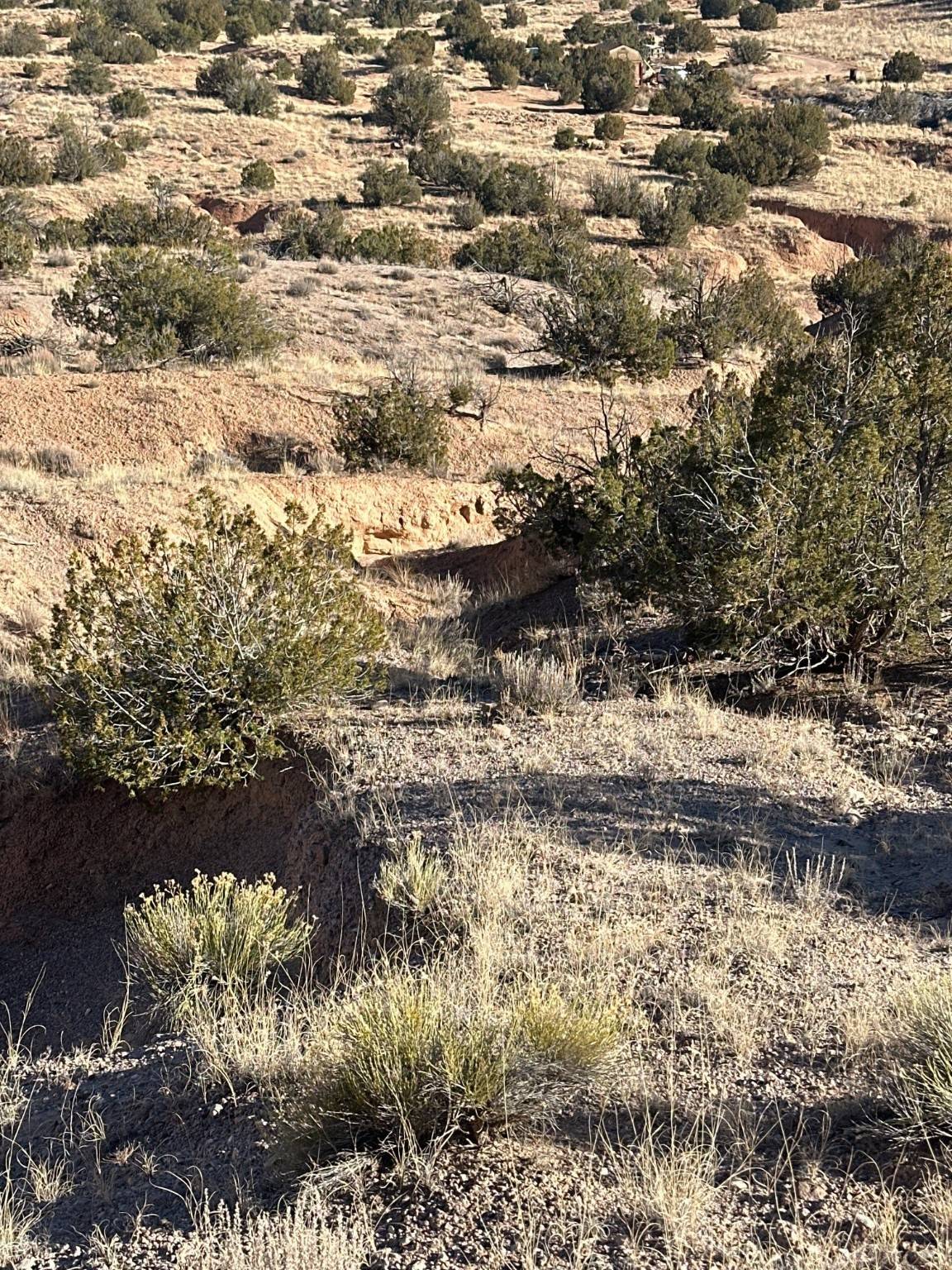 Medanales, NM 87548,TBD GREEN MEADOWS DR
