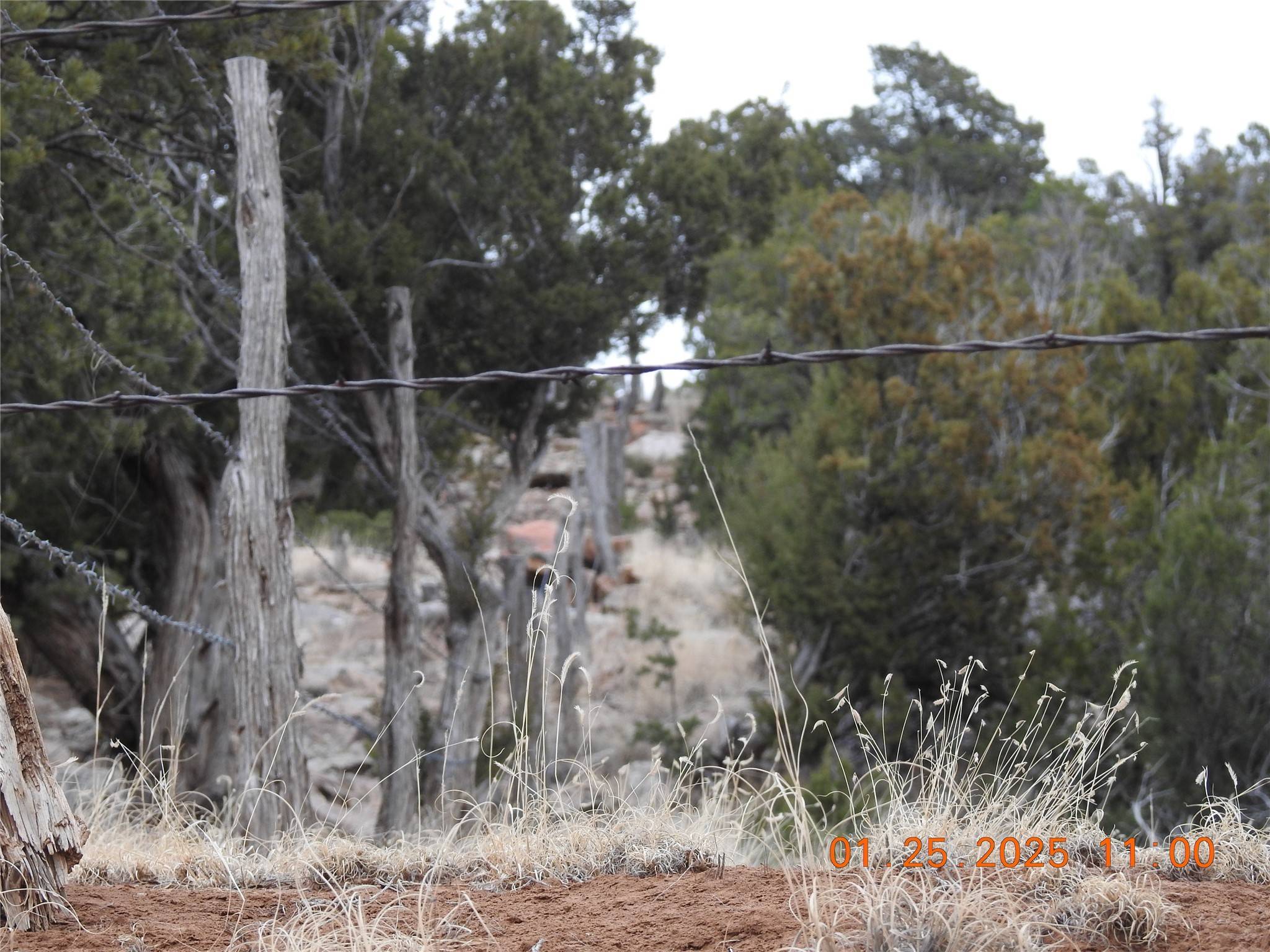 Villanueva, NM 87583,Tract A-1 CR B29A
