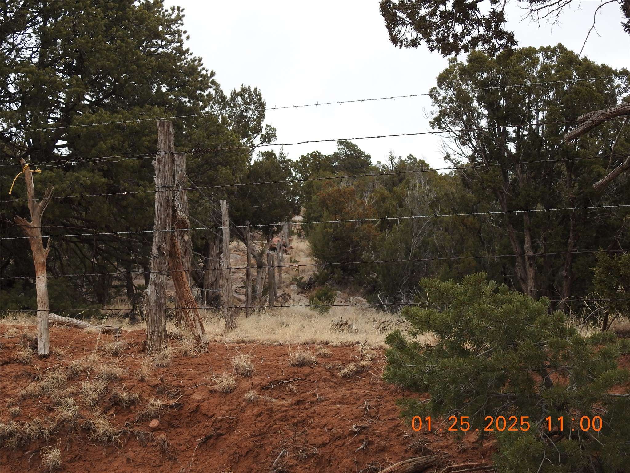 Villanueva, NM 87583,Tract A-1 CR B29A