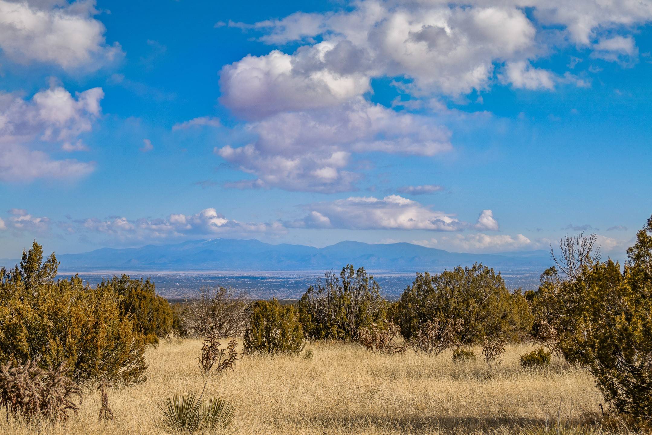 Cerrillos, NM 87010,156 Wagon Trail