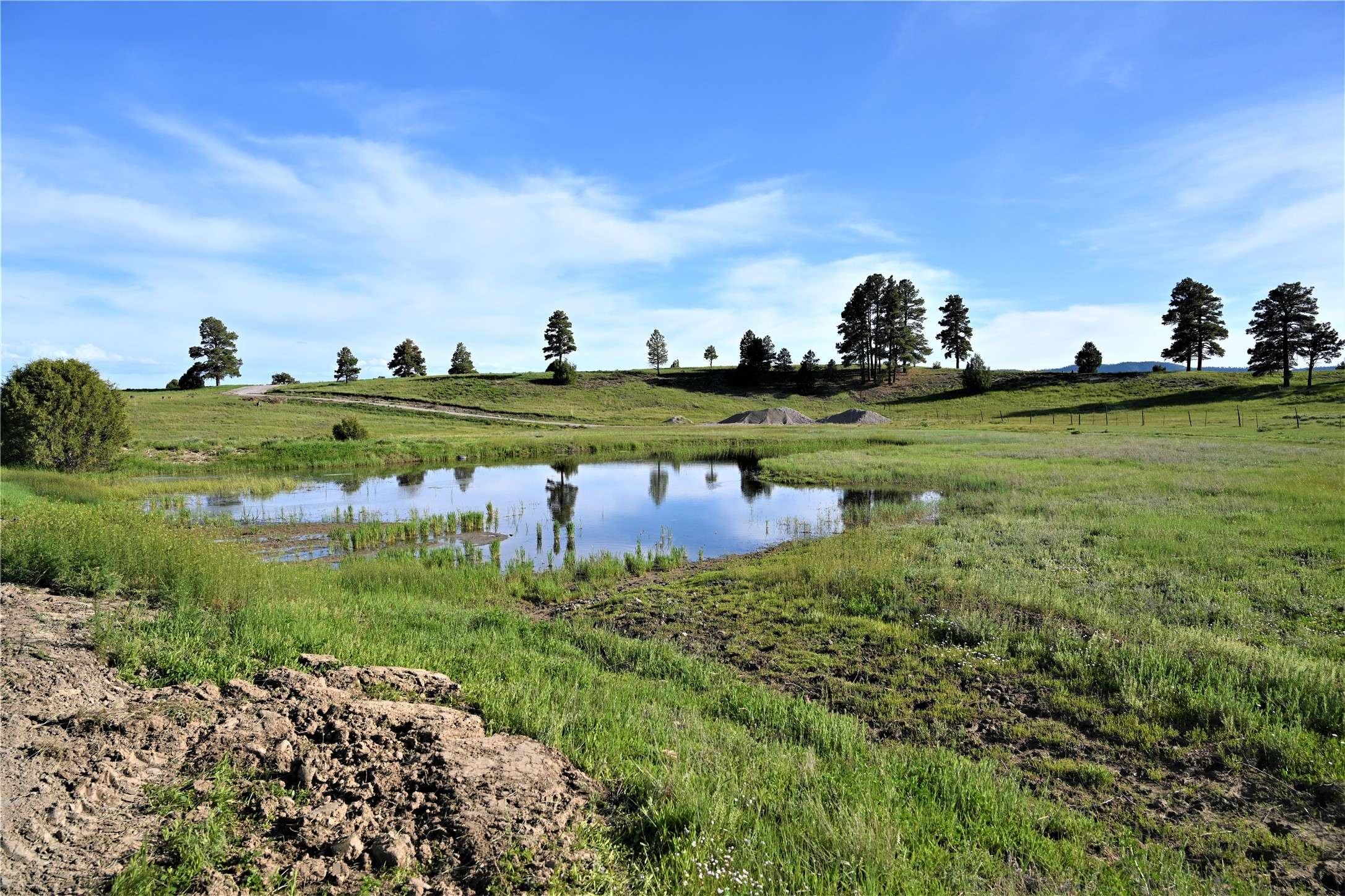 Chama, NM 87520,15476 HWY 64