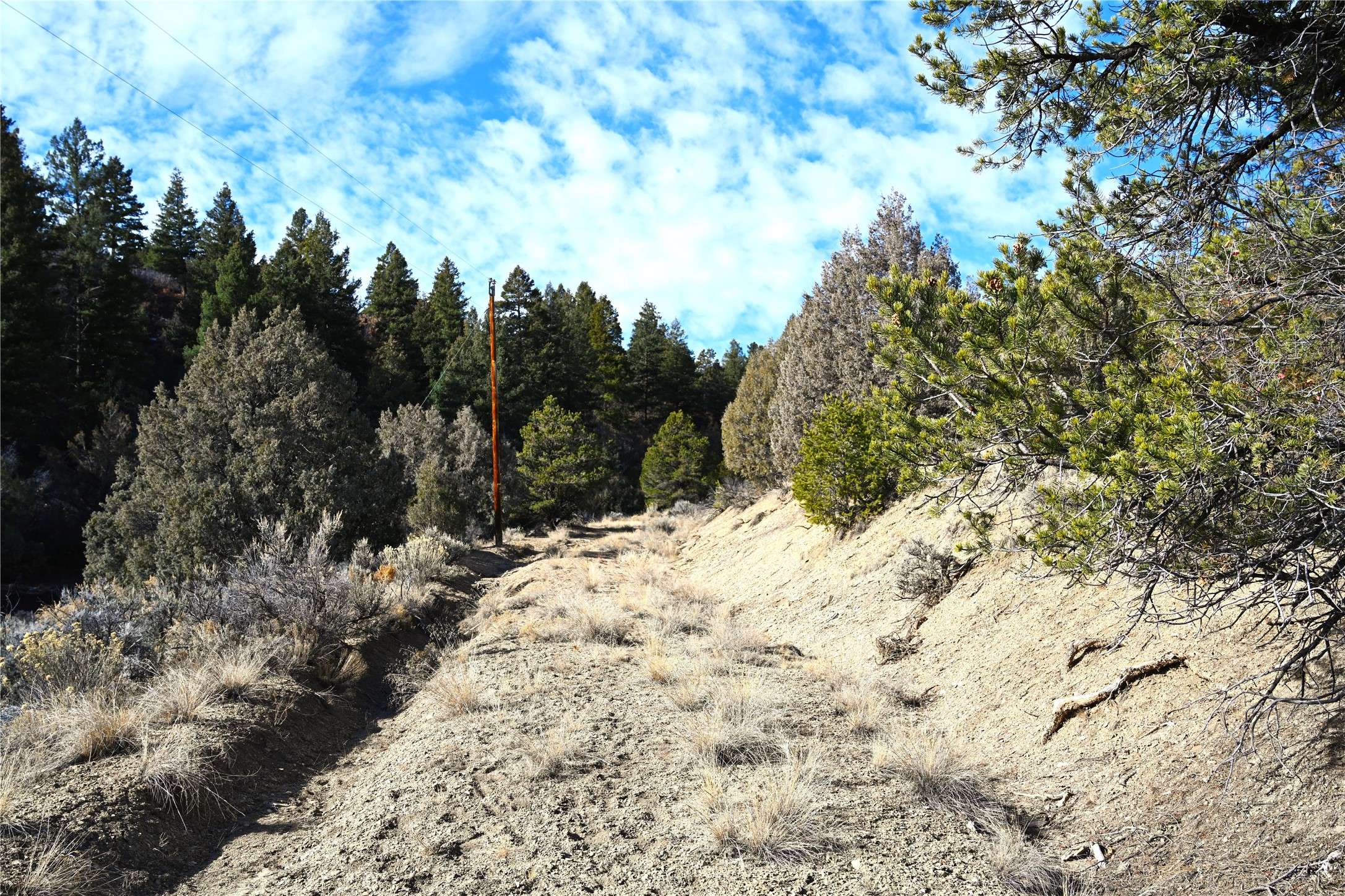 Tierra Amarilla, NM 87575,00 CR 322 #Unit B-6 Lot 12