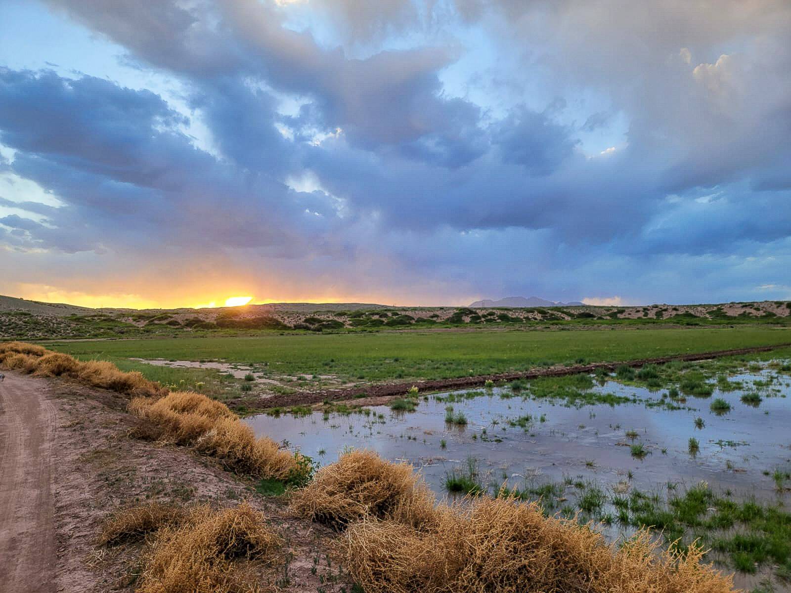 Socorro, NM 87831,Sevilleta Hills Elk Ranch