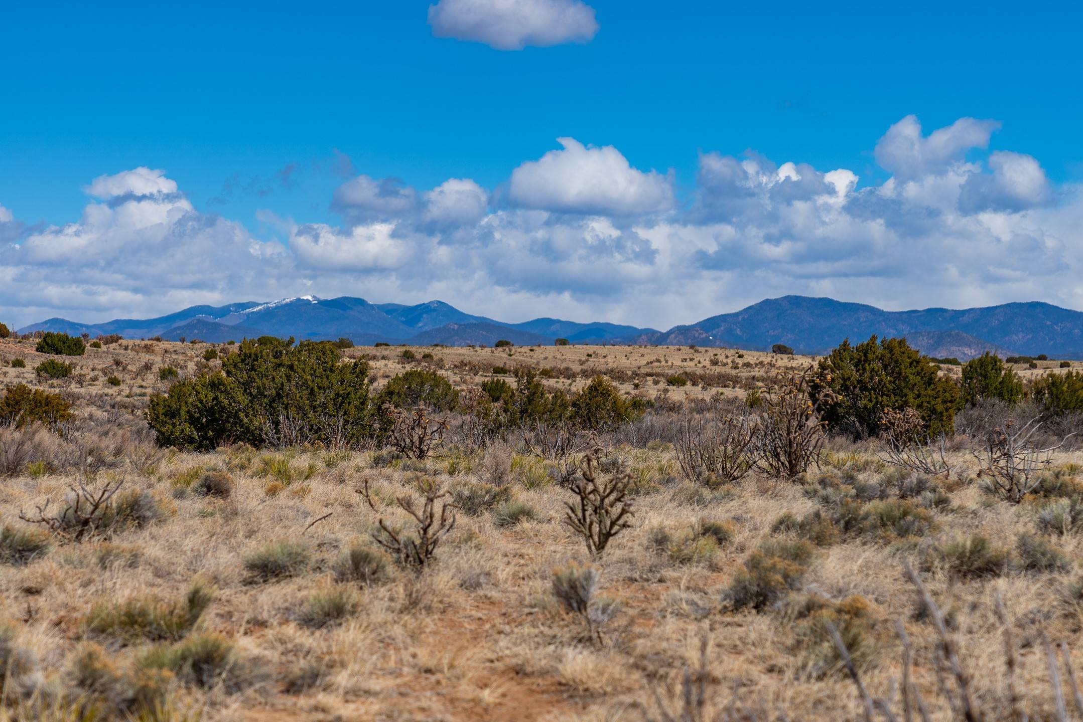 Santa Fe, NM 87508,38 Acres Sundog
