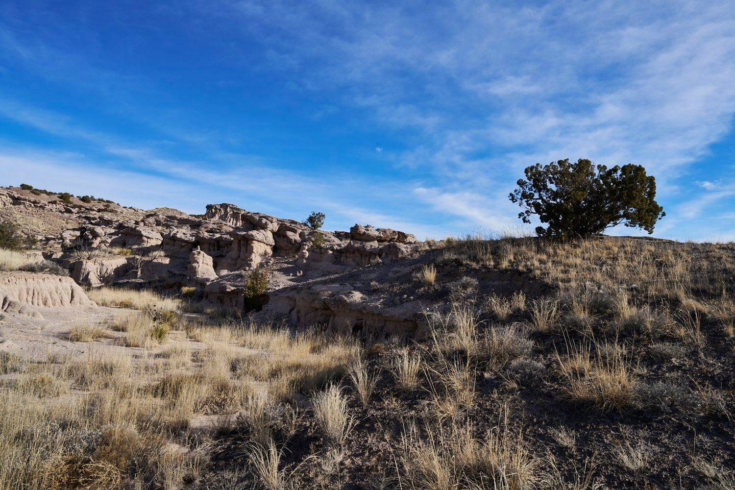 Abiquiu, NM 87510,Lot 40 Plaza Blanca
