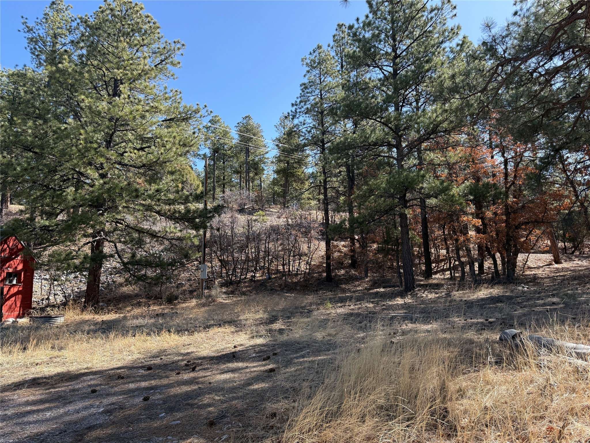 Chama, NM 87520,0 NMSr 512