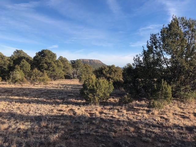 Las Vegas, NM 87701,5 Acres CR A20