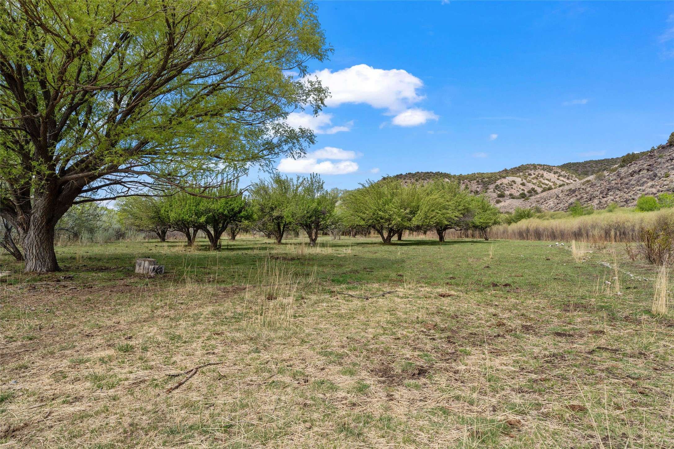 Lyden, NM 87582,781 County Road 57