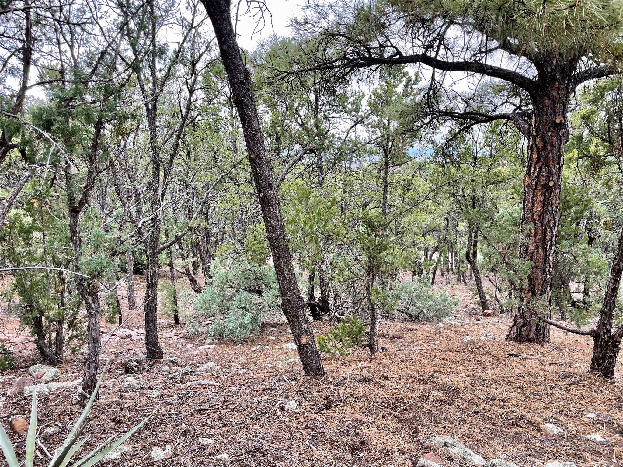 Santa Fe, NM 87501,1208 S Summit DR #LOT 6A