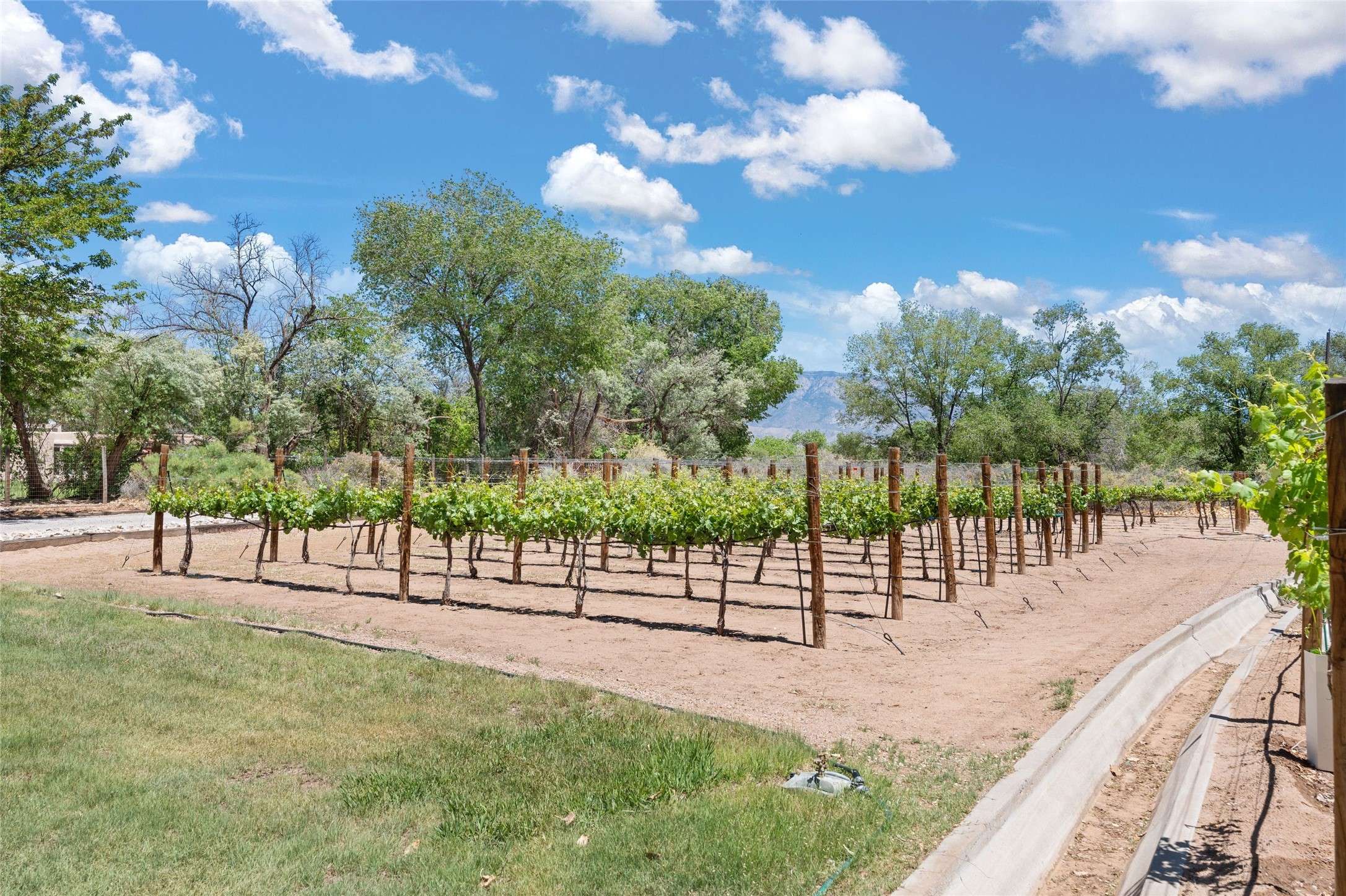 Corrales, NM 87048,163 Camino Alto