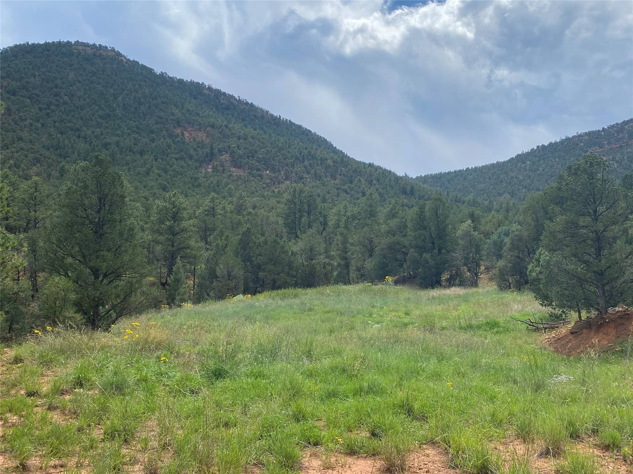 Glorieta, NM 87535,28 (Lot 1) The Cliffs