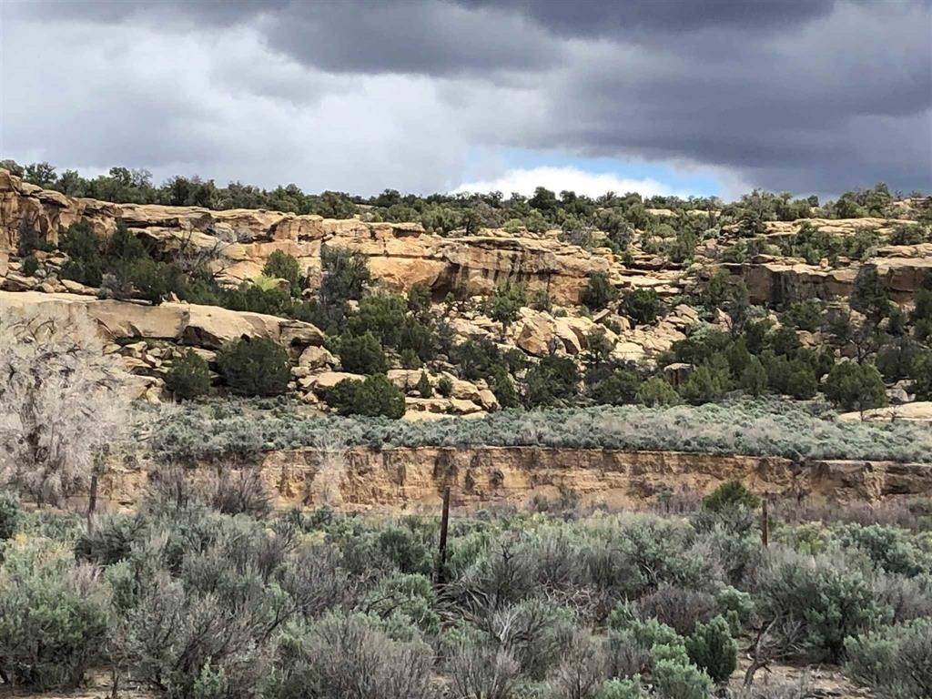 Navajo Dam, NM 87412,TBD Hwy 539/64
