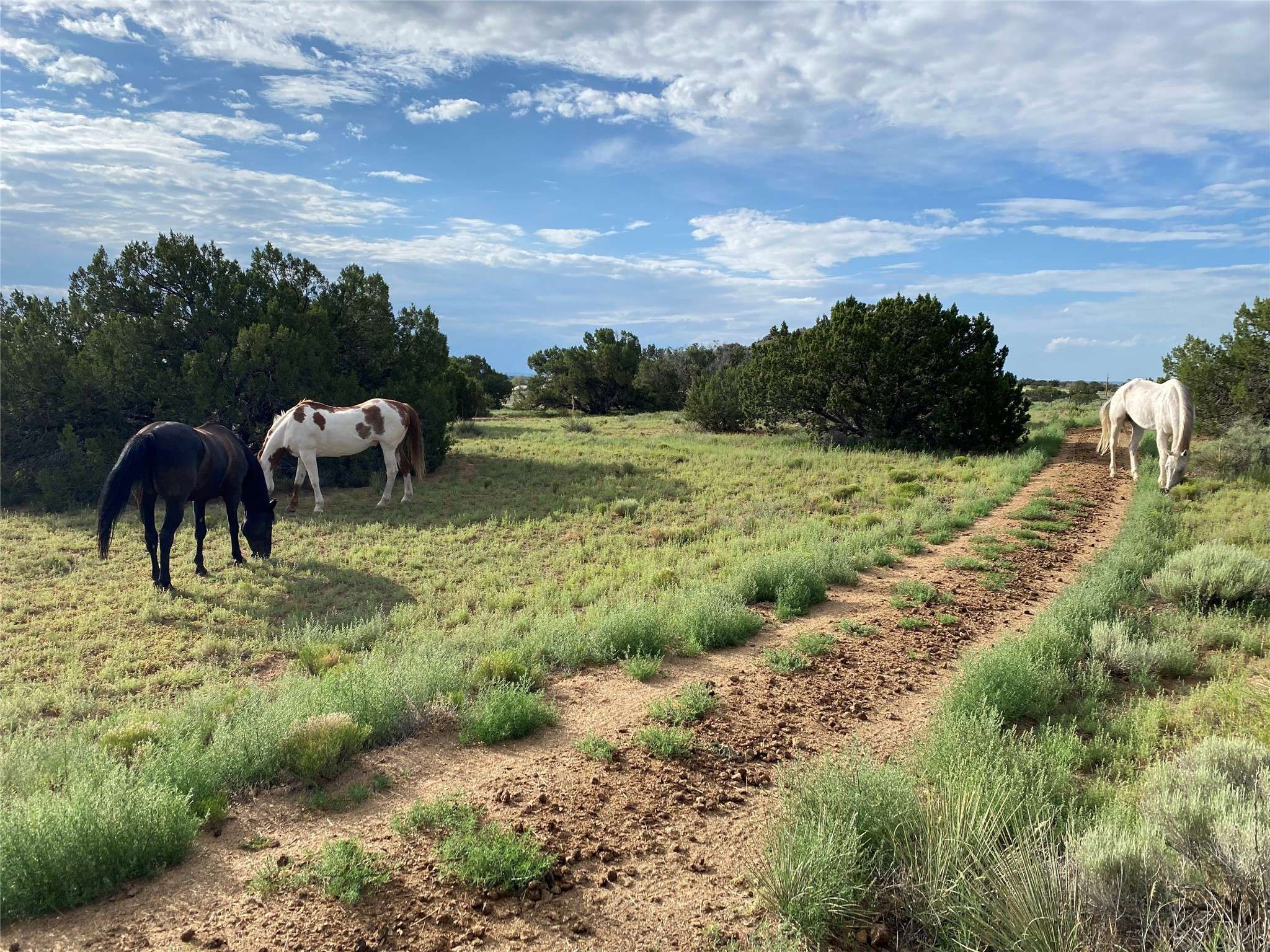 Santa Fe, NM 87508,24 Lone Butte DR