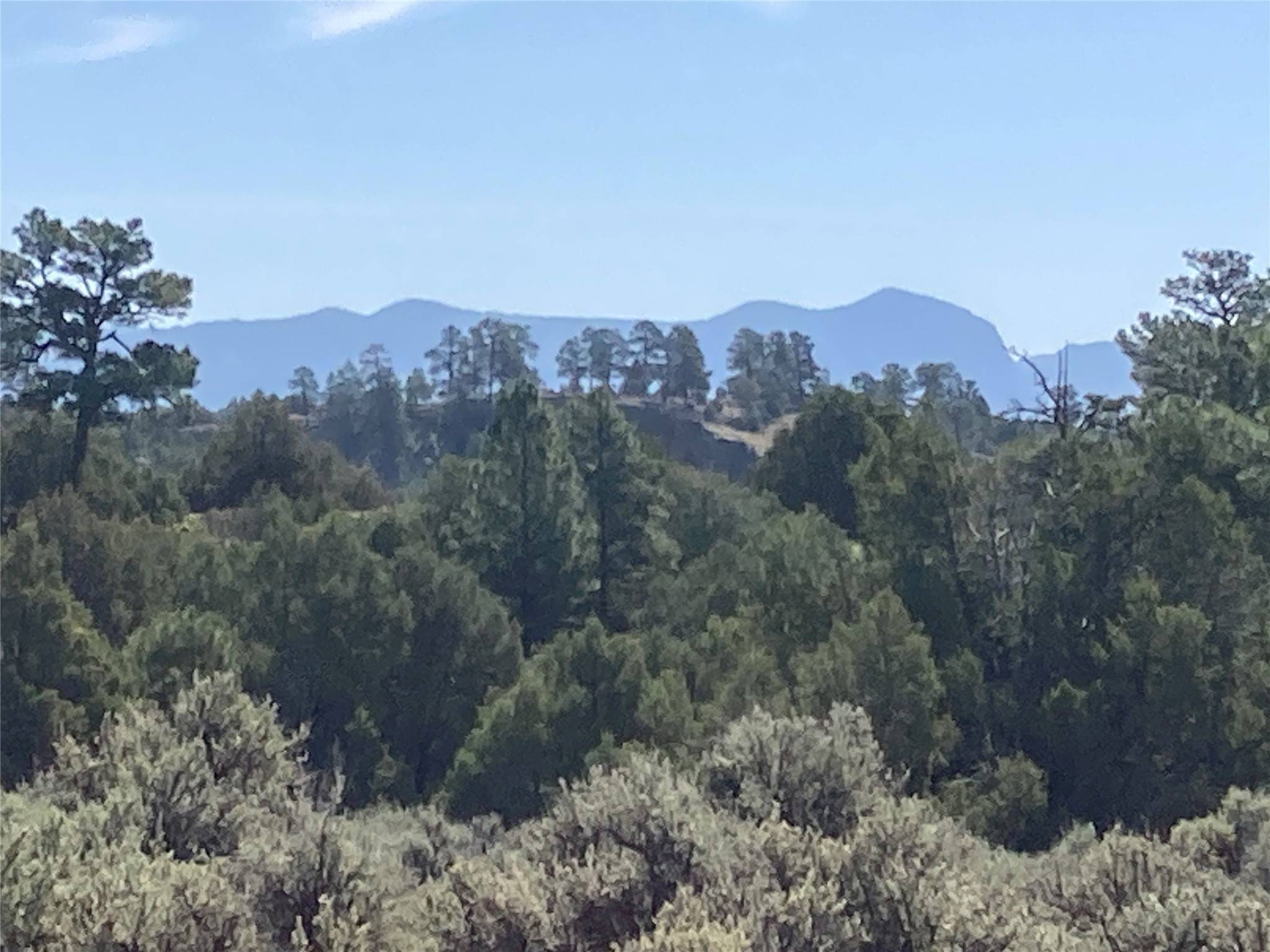 Rutheron, NM 87551,TBD Shroyer Dr Hacienda Tr 1B
