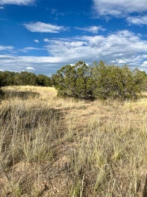 Santa Fe, NM 87506,6 Windridge