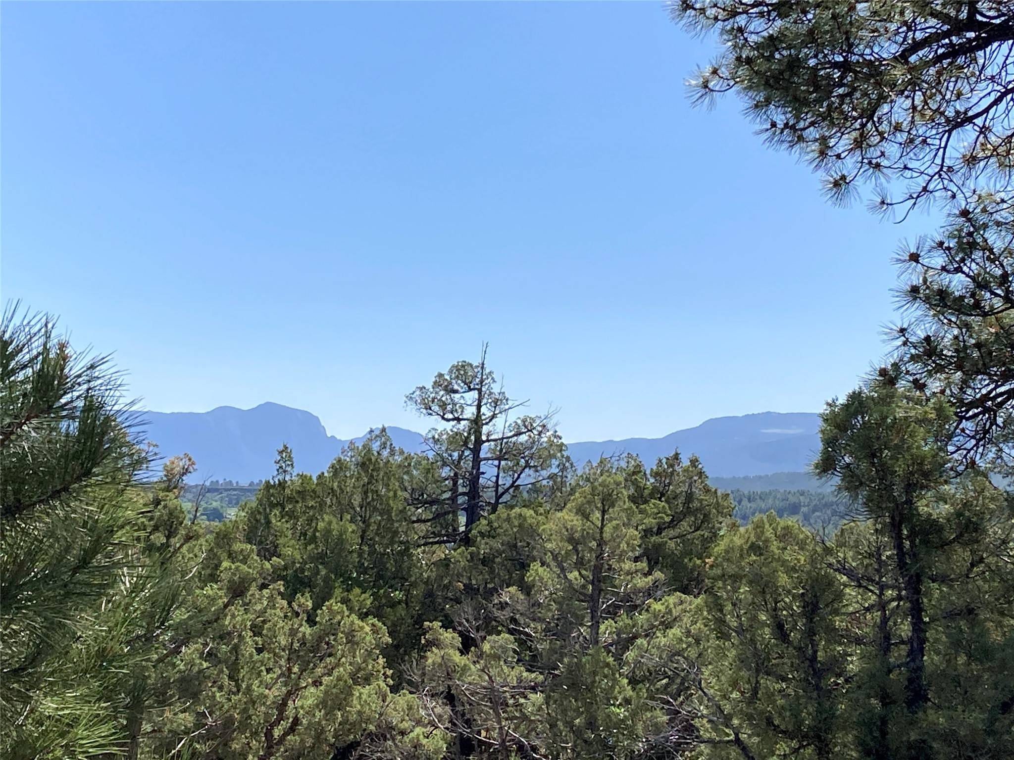 Rutheron, NM 87551,TBD Parkview Hills Lot 29