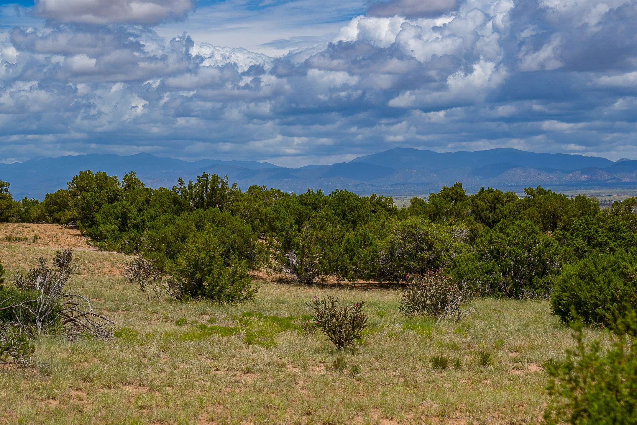 Santa Fe, NM 87508,23 Black Canyon