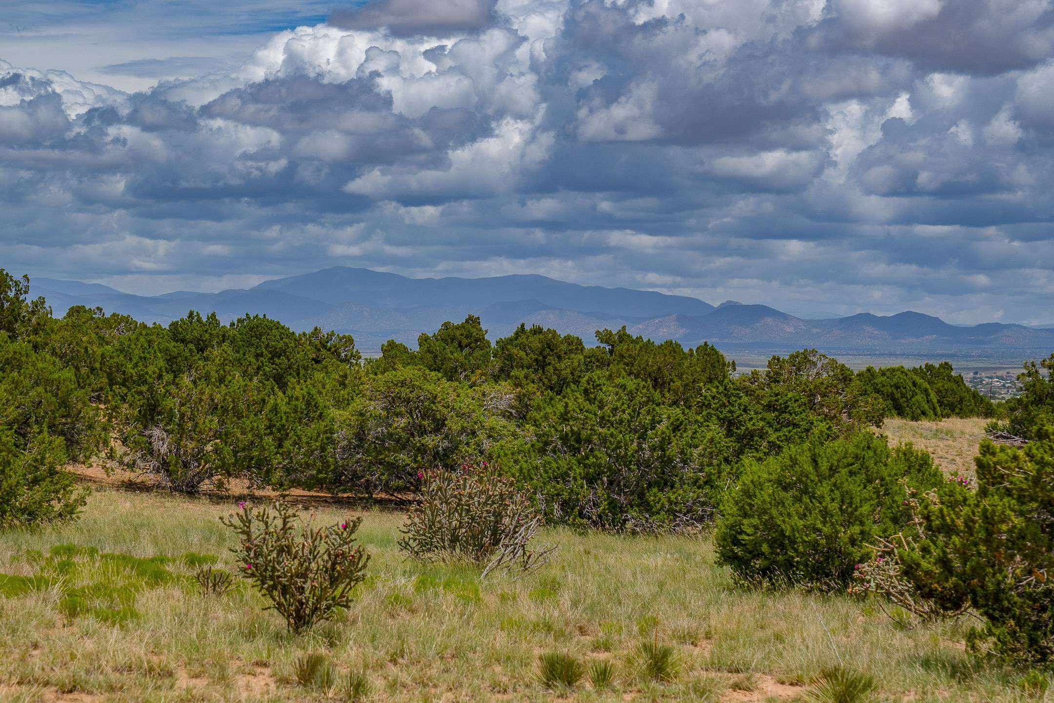 Santa Fe, NM 87508,23 Black Canyon