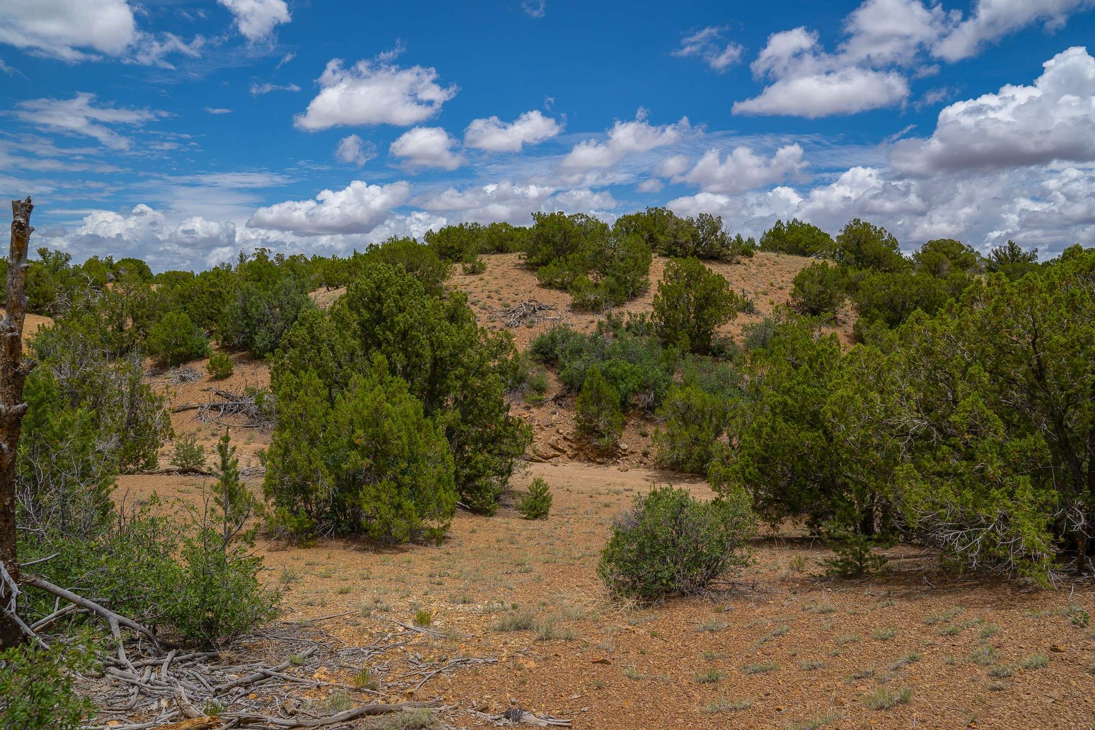 Santa Fe, NM 87508,120 Silver Hills