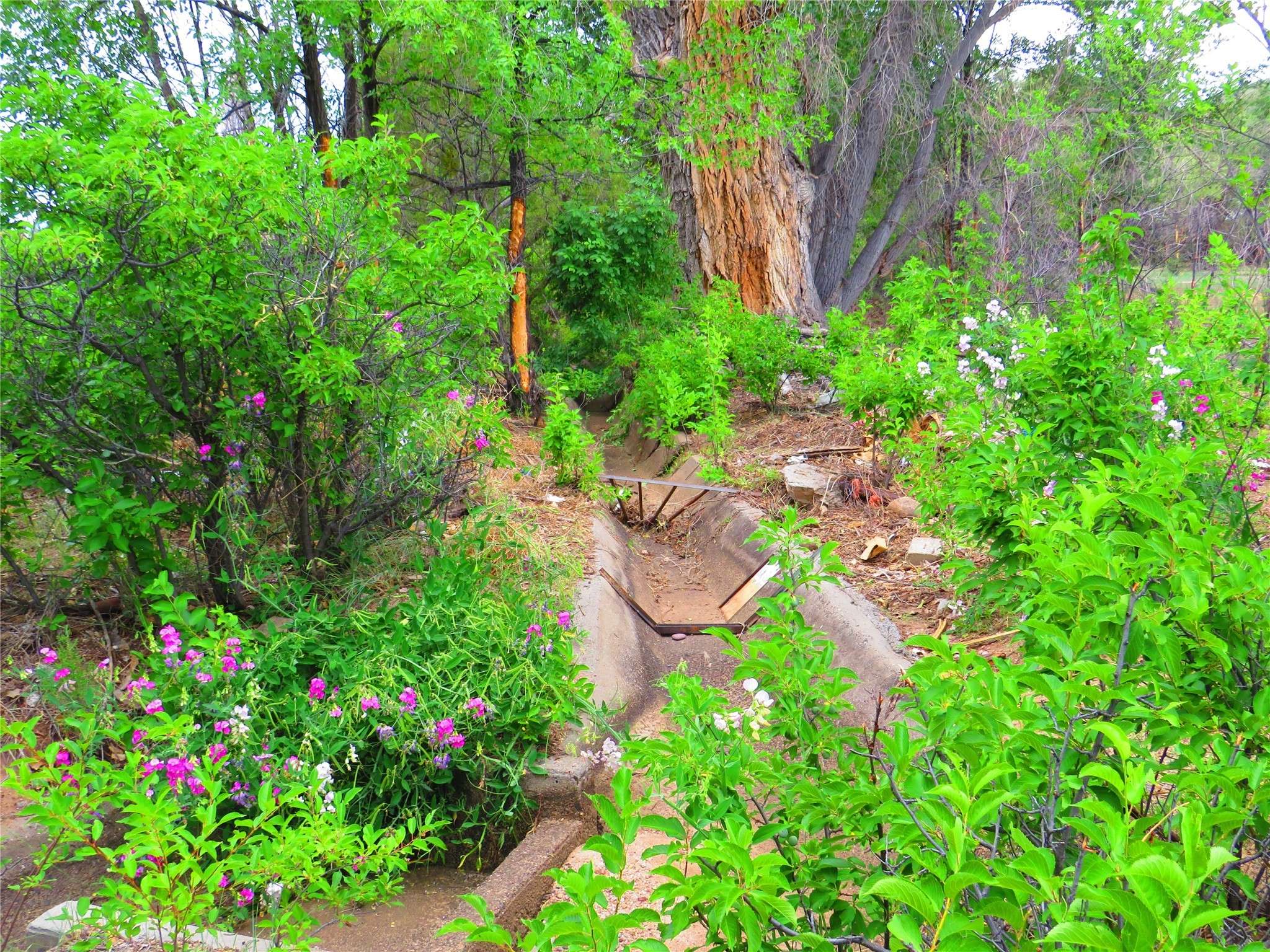 Chimayo, NM 87522,TBD County Rd 102