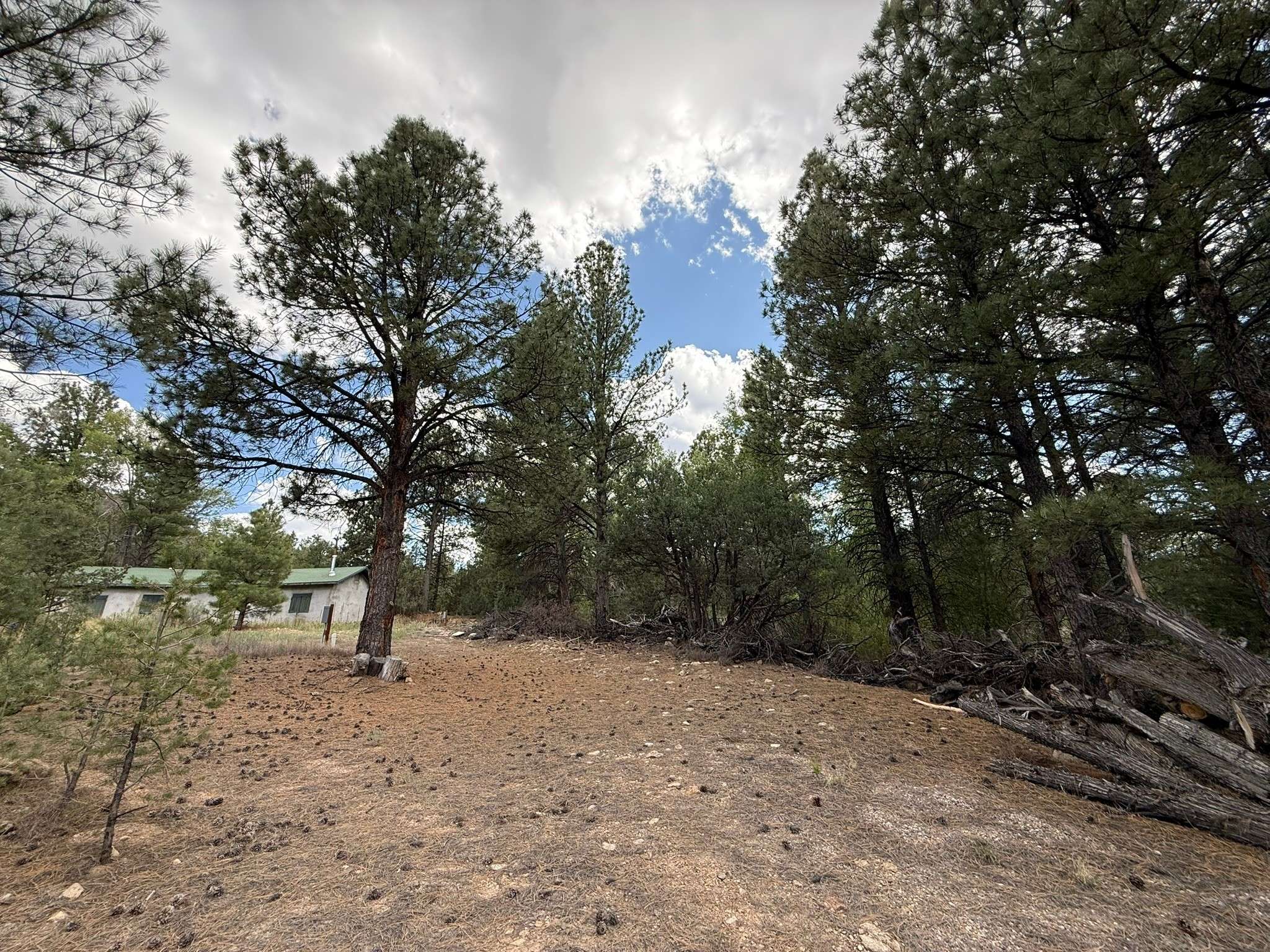 Questa, NM 87556,2318 Old Red River RD