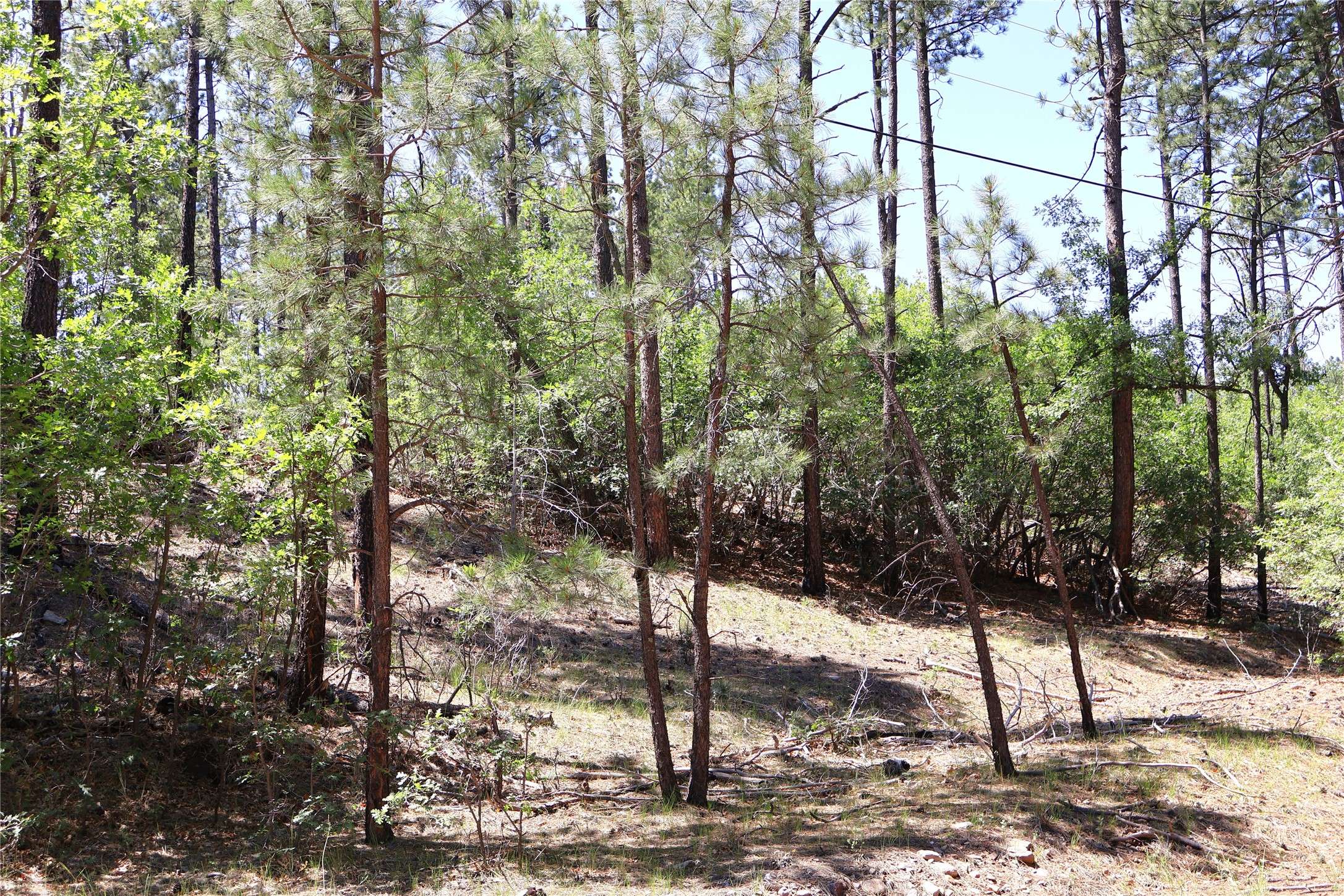 Torreon, NM 87061,Lot 5 Sherwood Forrest