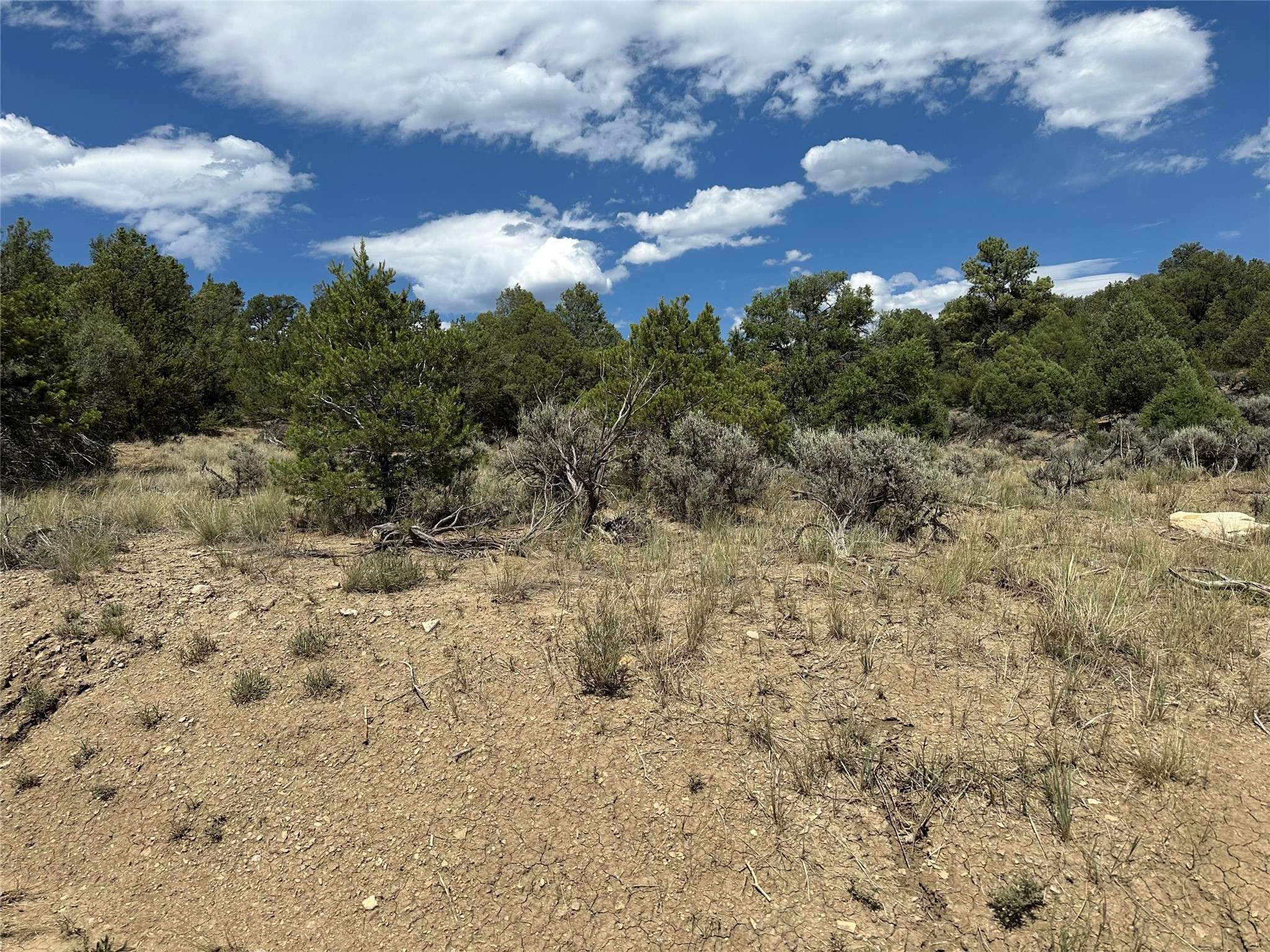 Tierra Amarilla, NM 87575,Lot 34 Unit 4 Talavera SD