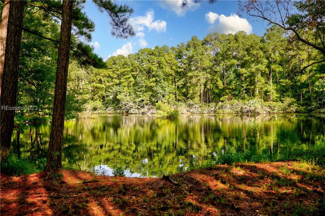 Daufuskie Island, SC 29915,61 Amber LN