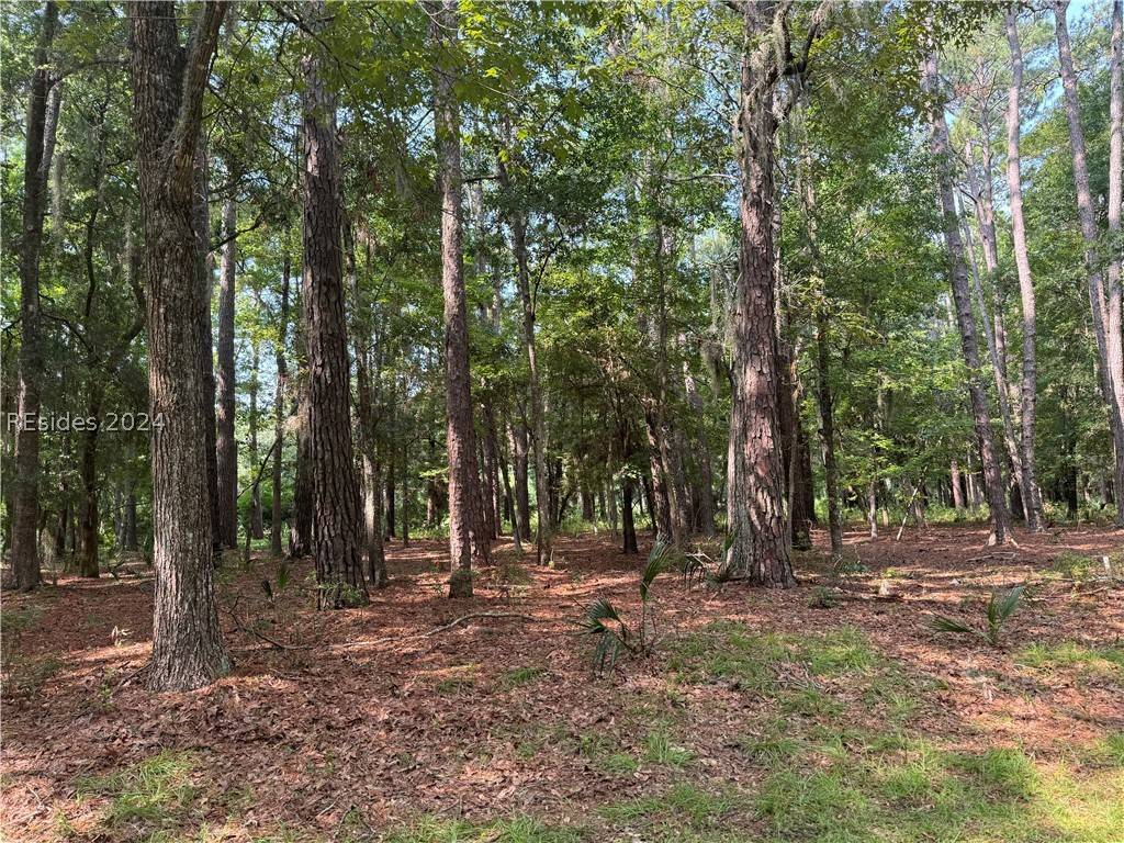 Daufuskie Island, SC 29915,18 Captain Monroe Ln