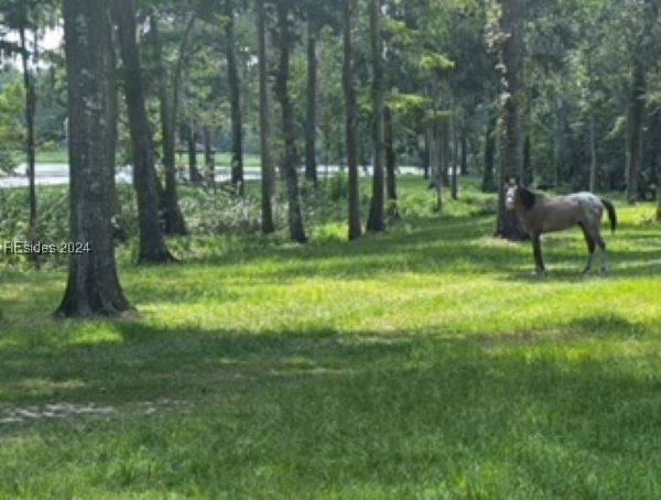 Hardeeville, SC 29927,7139 Purrysburg RD
