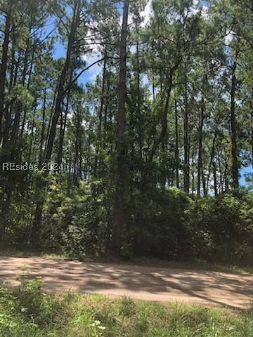 Daufuskie Island, SC 29915,284 School RD