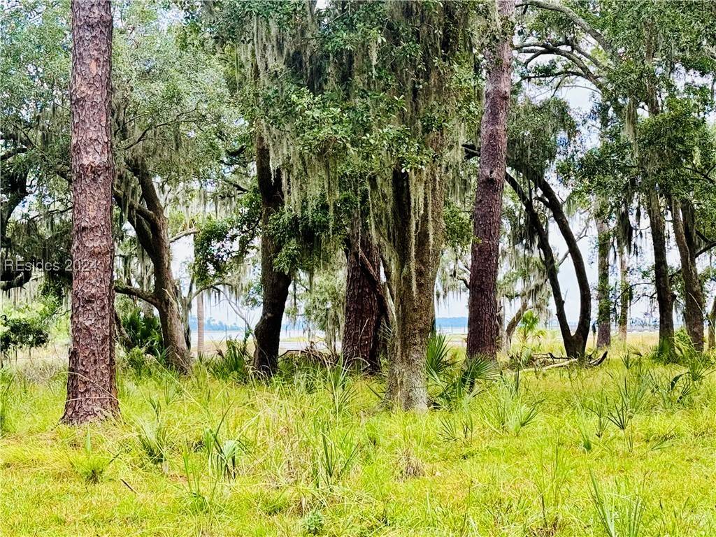 Daufuskie Island, SC 29915,8 Shell Rake LN