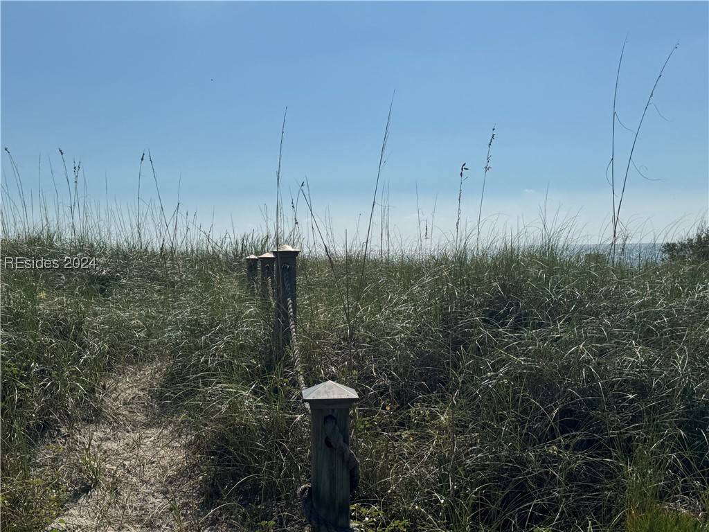 Daufuskie Island, SC 29915,6 Cresting Wave LN