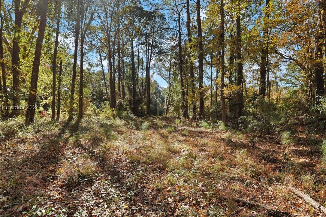 Beaufort, SC 29906,49b Roseida Road EXT