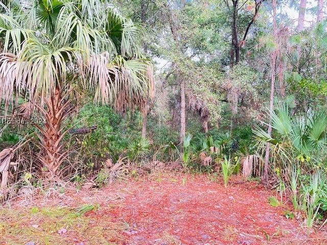 Saint Helena Island, SC 29920,10 Ocean Marsh CT