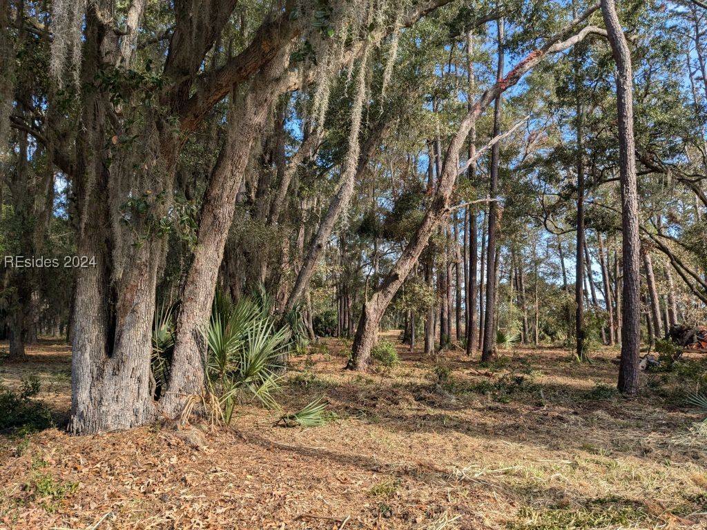 Daufuskie Island, SC 29915,41 River RD