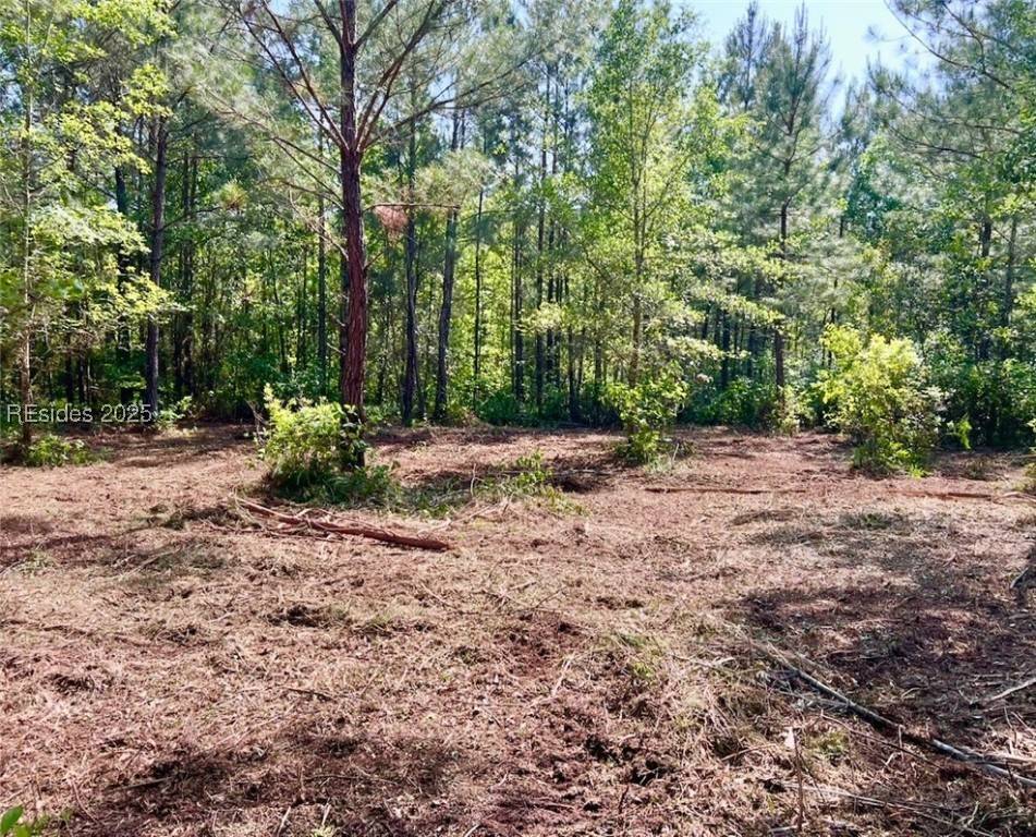 Ridgeland, SC 29936,499 Sisters Ferry RD