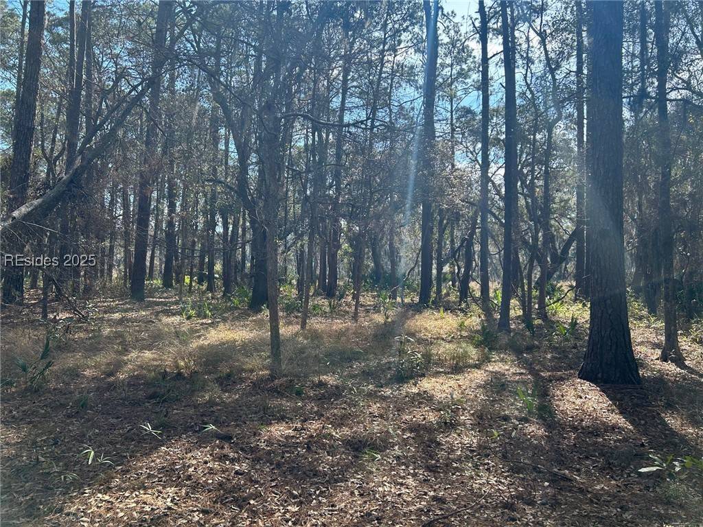 Daufuskie Island, SC 29915,14 Captain Monroe LN